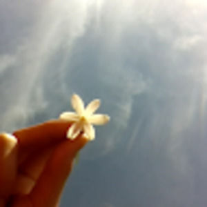 Meet your Posher, Arielle